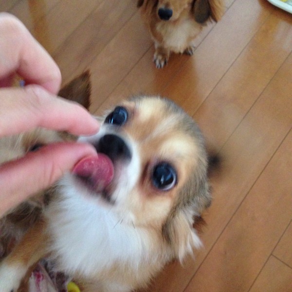 薬を食べている写真