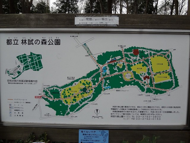 林試の森公園地図