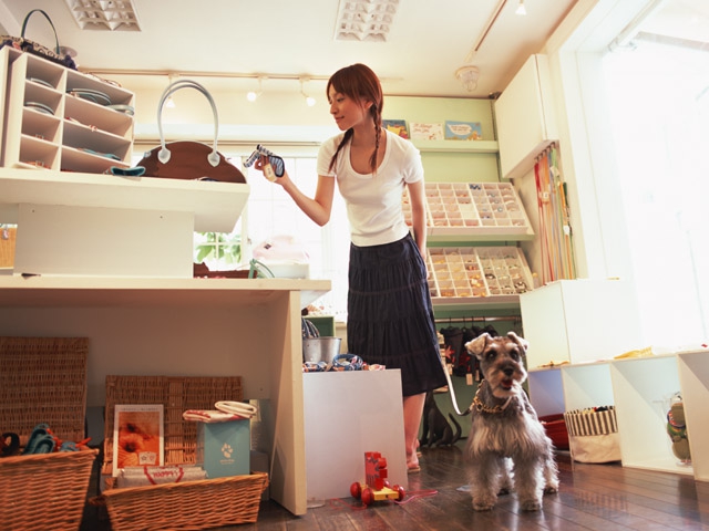 お店にいる人と犬