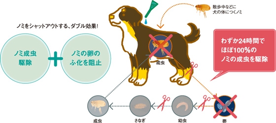 フロントラインプラスの効果