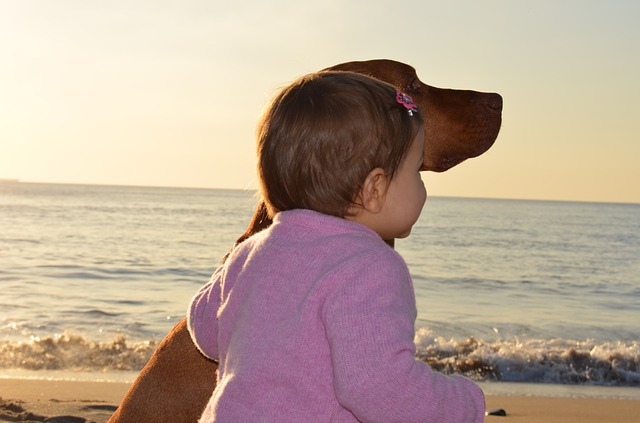 犬と子供