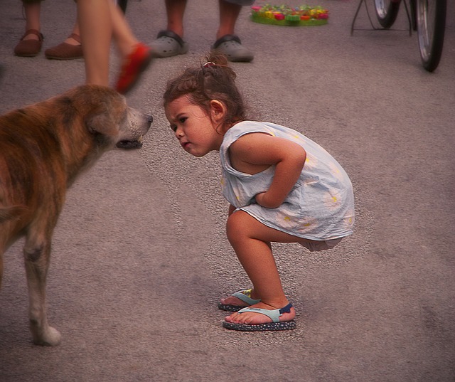 子供と犬