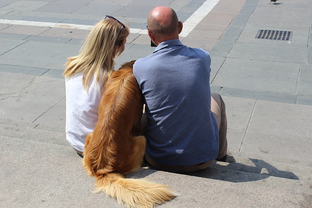 仲の良い犬と人間