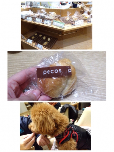 ＃＃イオンモール幕張新都心 PET MALL内にあるドトールコーヒーショップ＃＃