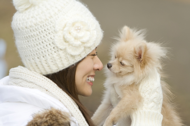 愛犬の匂い対策