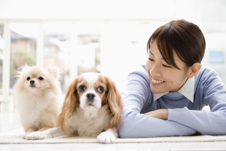 犬と飼い主