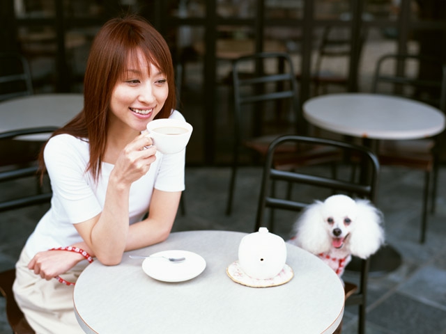 カフェする人と犬