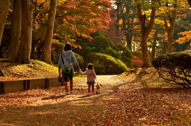 紅葉の散歩