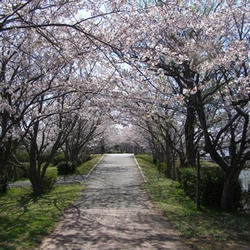 遊歩道