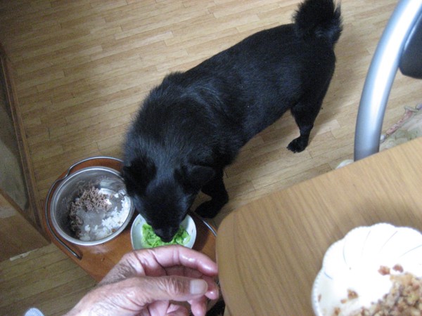 食事台で食事する