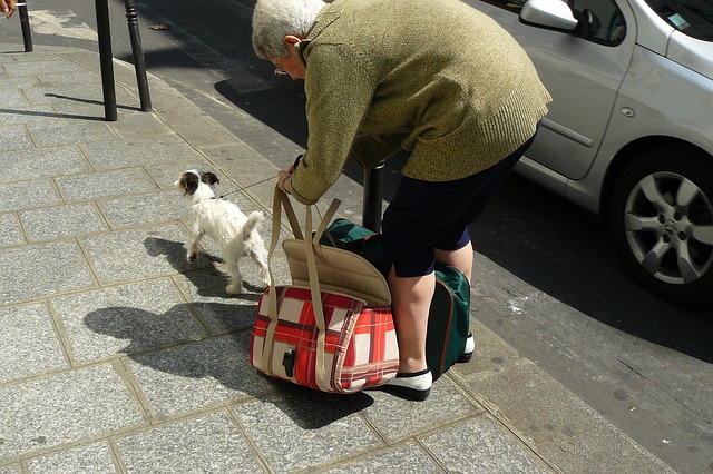 犬とキャリバーッグとおばあちゃん