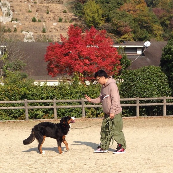 紅葉とトレーニング風景