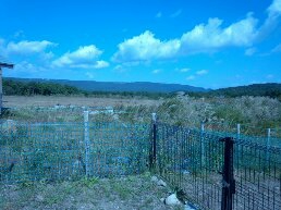 ドッグランからの風景