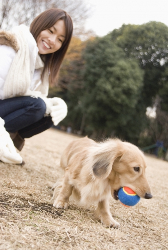 犬と遊ぶ