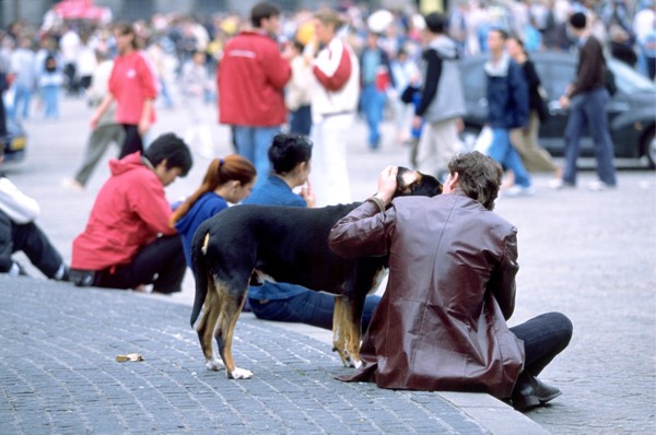 男性と犬