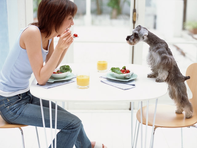 女性と犬