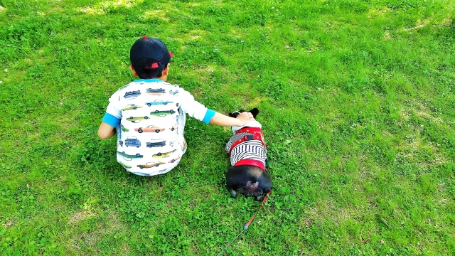 子供と犬