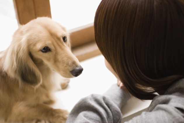 犬と主人