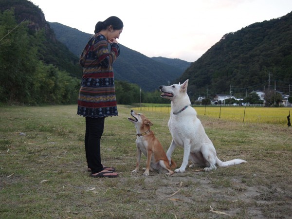 人と二匹の犬