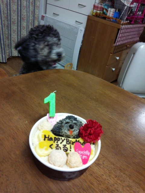 ぶれて口を開けている犬とケーキ