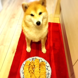 犬用クッキー