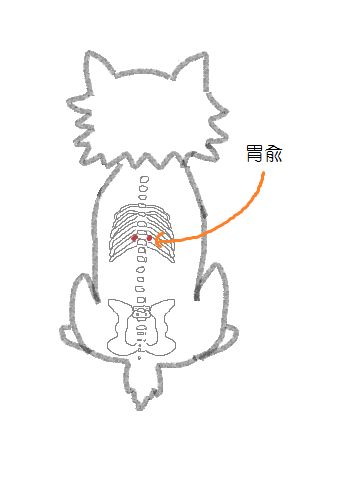 胃兪の図