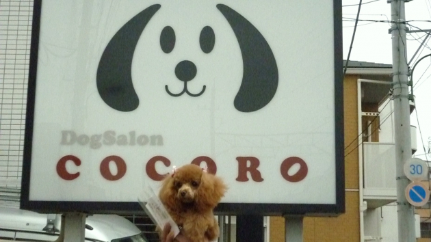 Dogsalon　COCORO