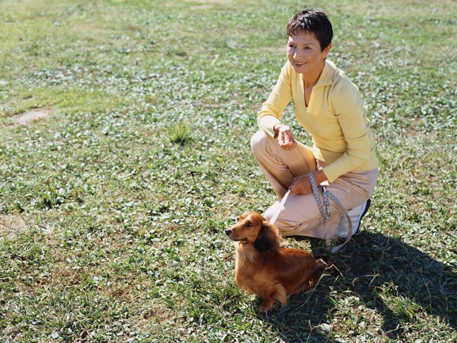 シニア女性と犬