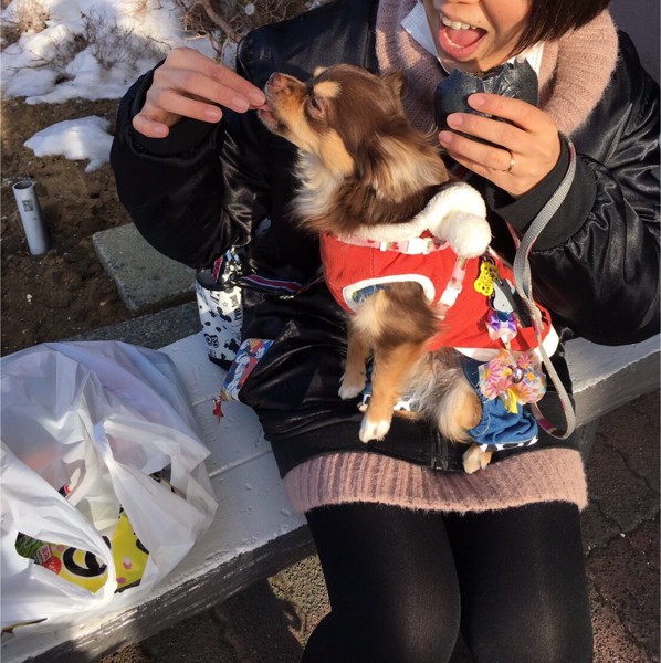 飼い主と犬