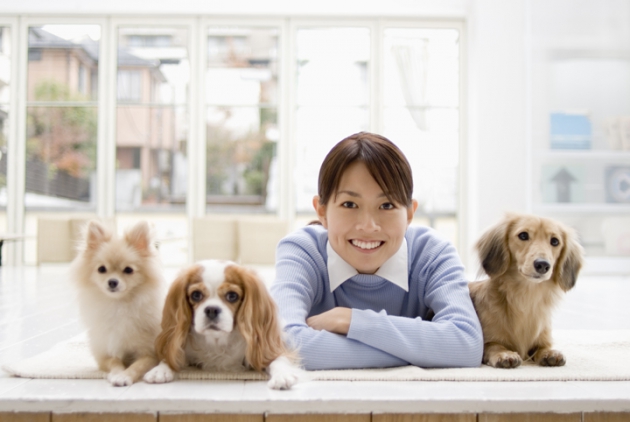 飼い主と犬