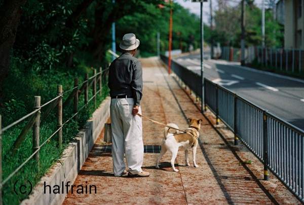 老人と犬