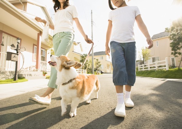 親子と犬