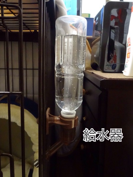 ＃＃お迎え準備、給水器＃＃