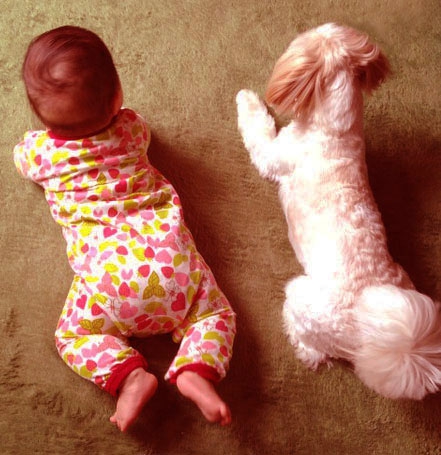 犬と子どもの後ろ姿