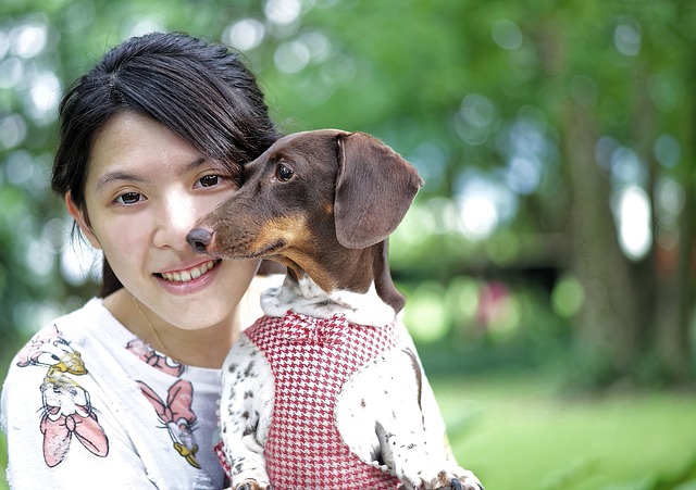 犬を見せる人