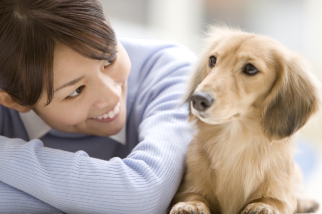 犬と飼い主