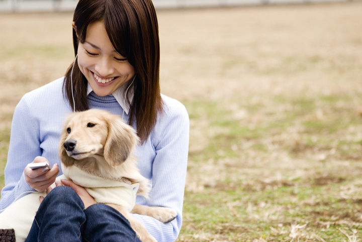 犬との思い出