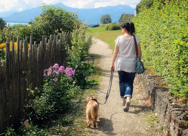 女性と歩く犬