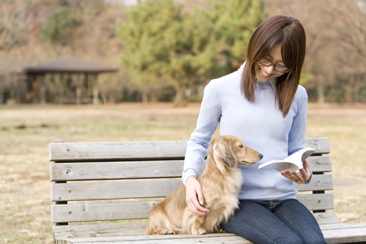 ベンチに座る犬と人