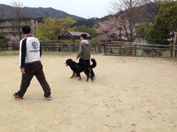 さくらと飼い主とわんぱぱ