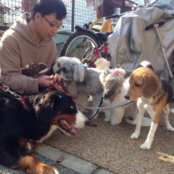 わんぱぱと犬達