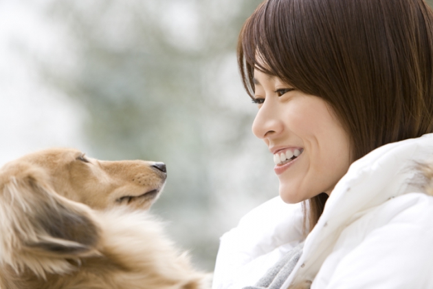 ふせる犬