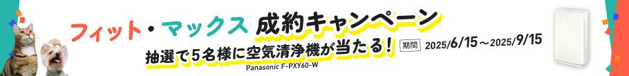 キャンペーン
