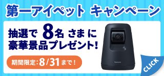 キャンペーン