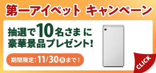 キャンペーン
