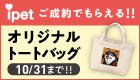 キャンペーン