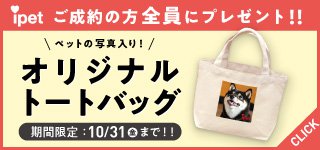 キャンペーン
