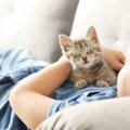 猫の愛情表現を理解して絆を深めよう！