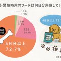 猫ネタりかフラグテスト