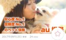 テスト記事